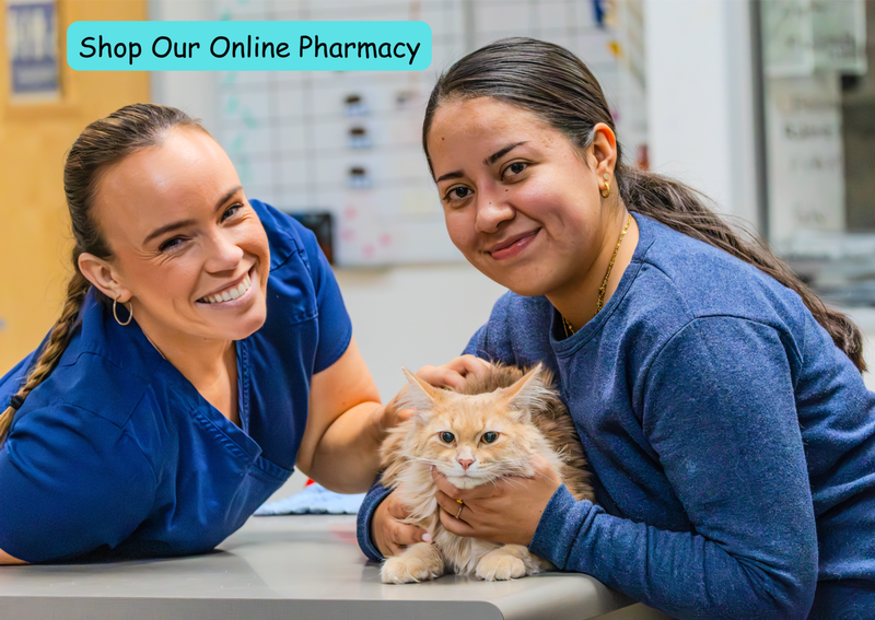 Carousel Slide 1: Shop our convenient online pet pharmacy